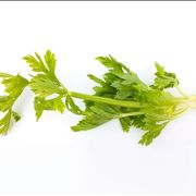 Celery