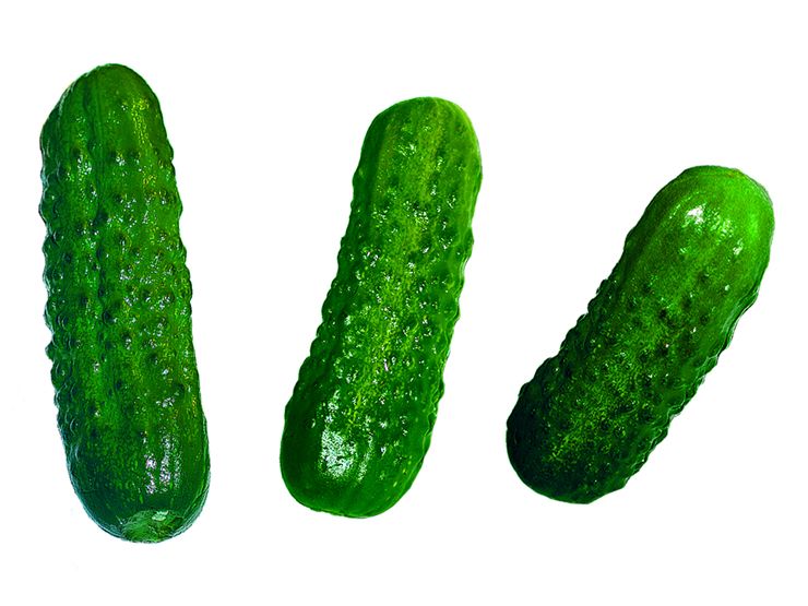 Small Cucumbers