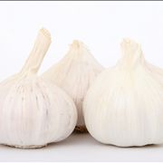 Garlic for Health