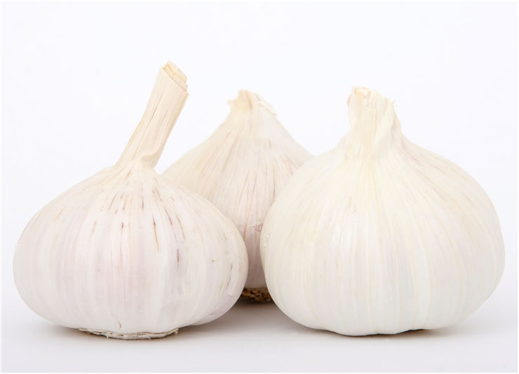 Garlic for Health