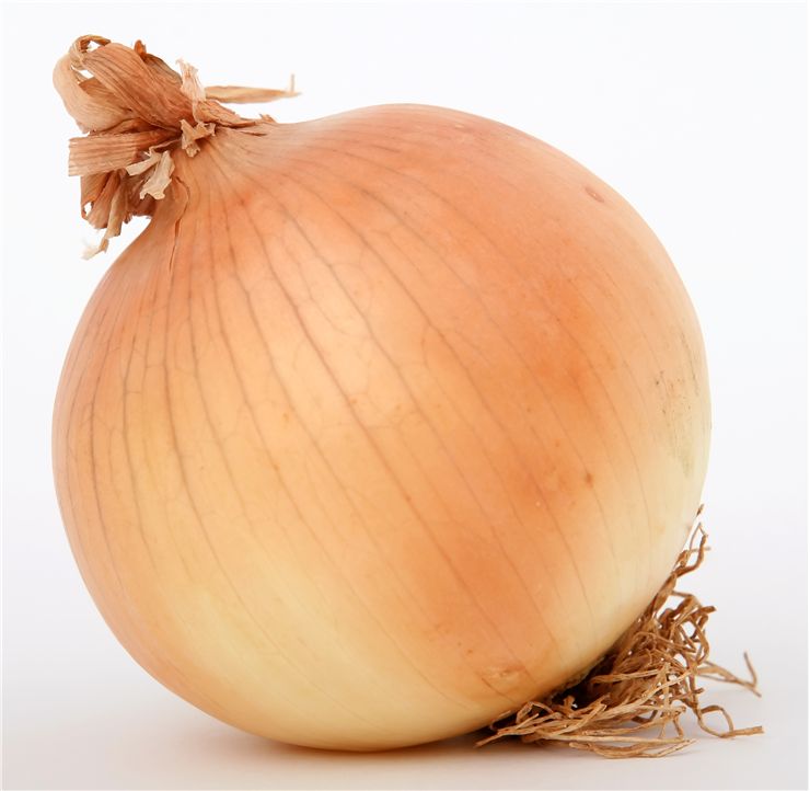Onion Classic