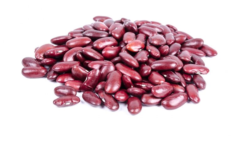 Pinto Beans Nutrition Facts and Health Benefits