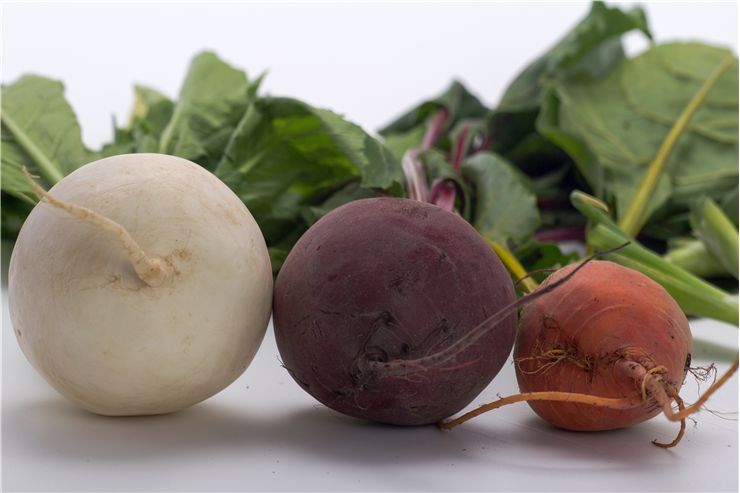 Beetroot Types