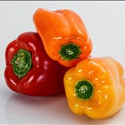 Capsicum Vegetable Sweet Peppers