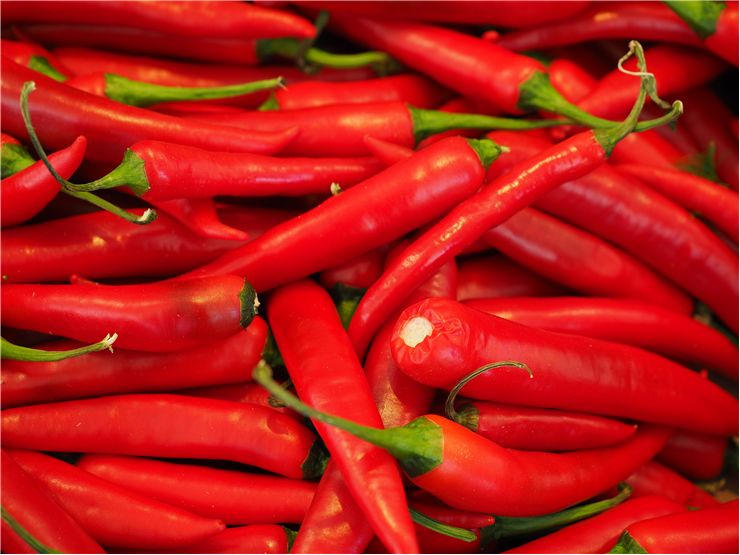 Capsicum Chili Red Peppers