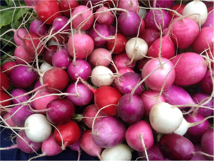 Radishes Healthy Vegetable