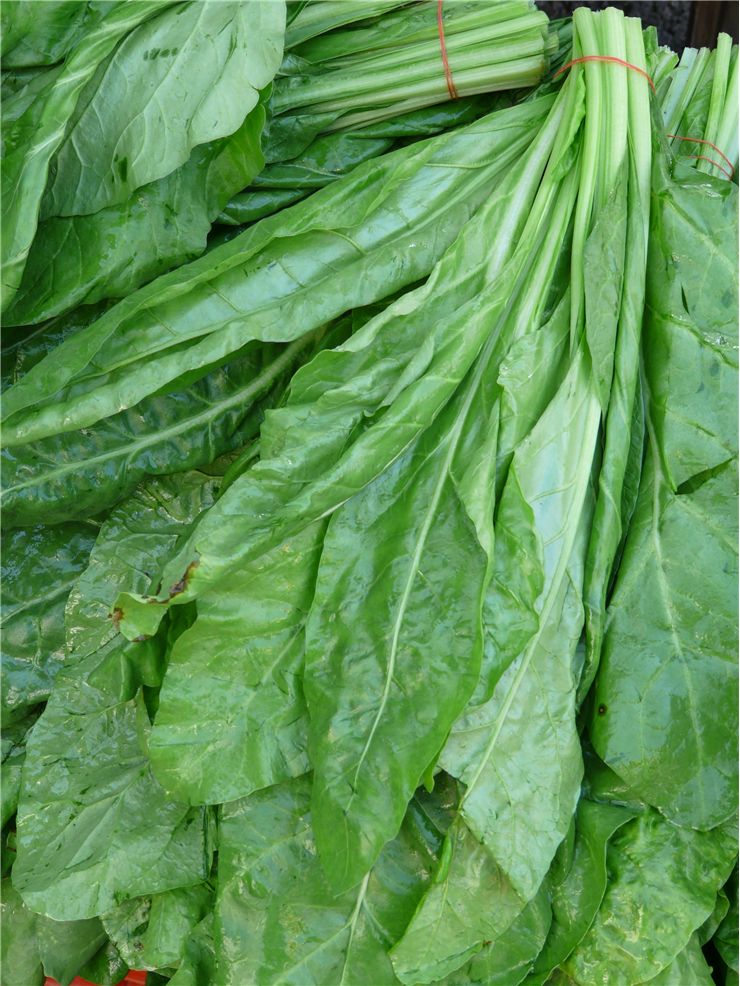 Spinach Green Vegetable