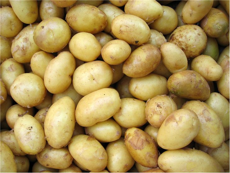 Yellow Potato Vegetable