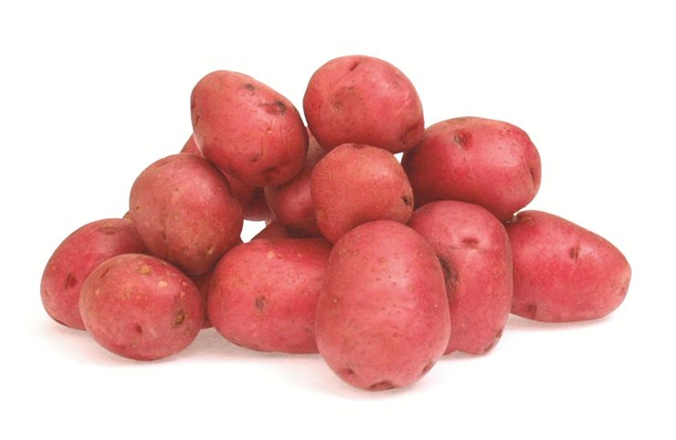 Red Potato Vegetable