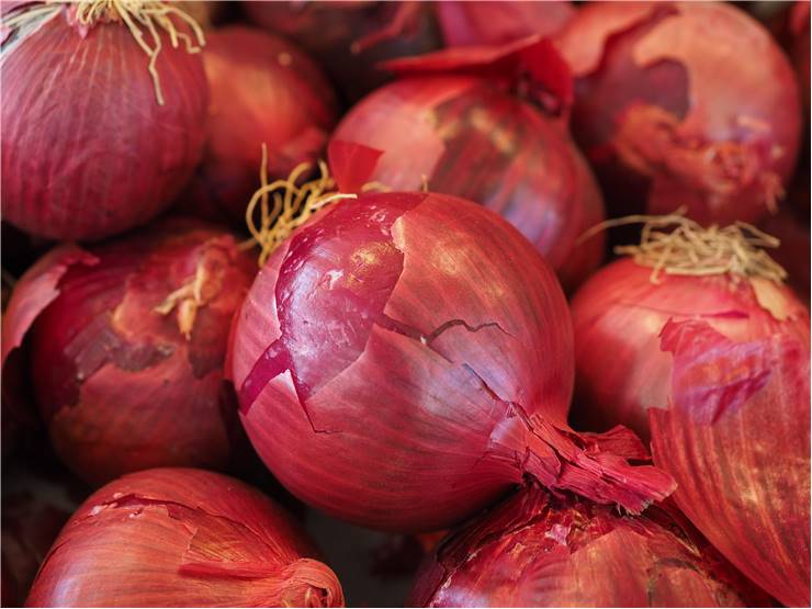 onion in psoriasis