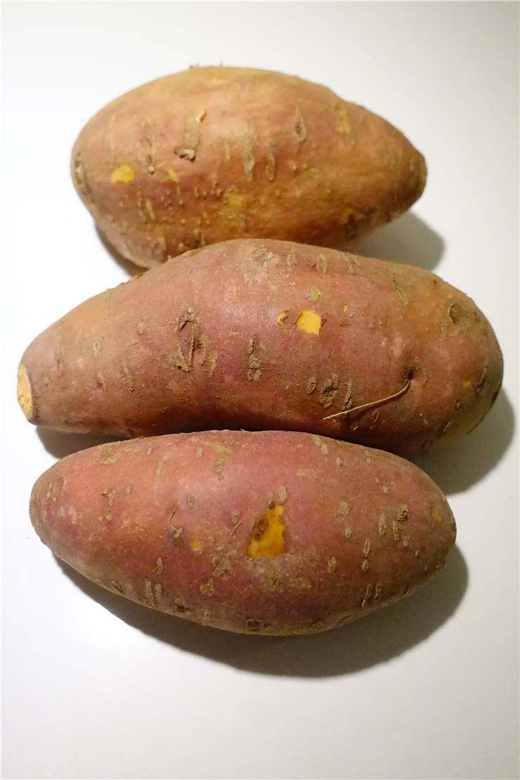Sweet Potato Ipomoea Batatas