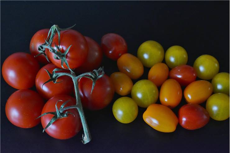 Tomato Different Types