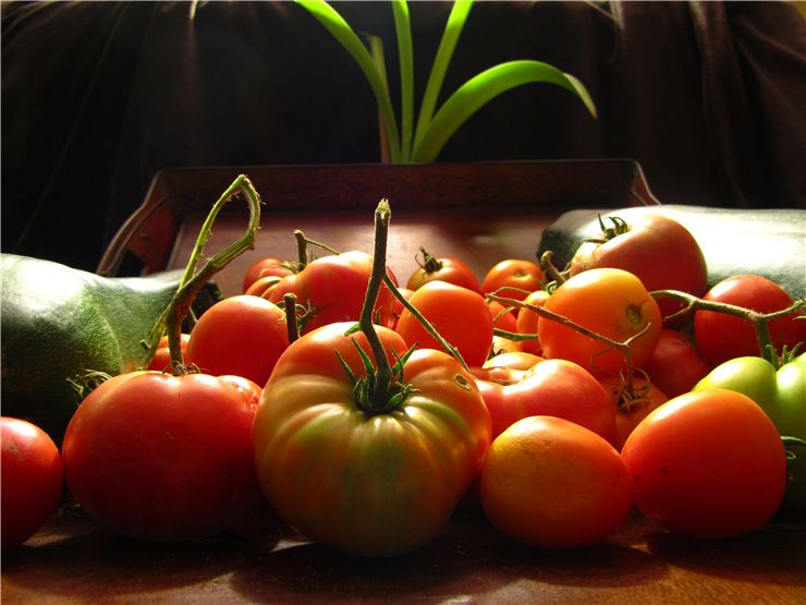 Tomato Red Fruit - Vegetable