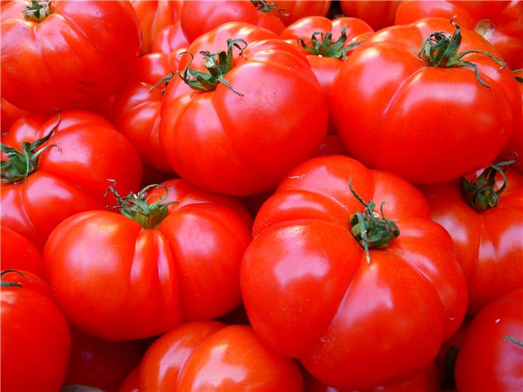 Difference Fruit Vegetable Tomatoes